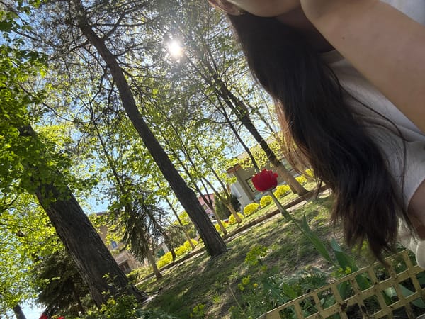 Spring afternoon documented at Dupnitsa park, Bulgaria