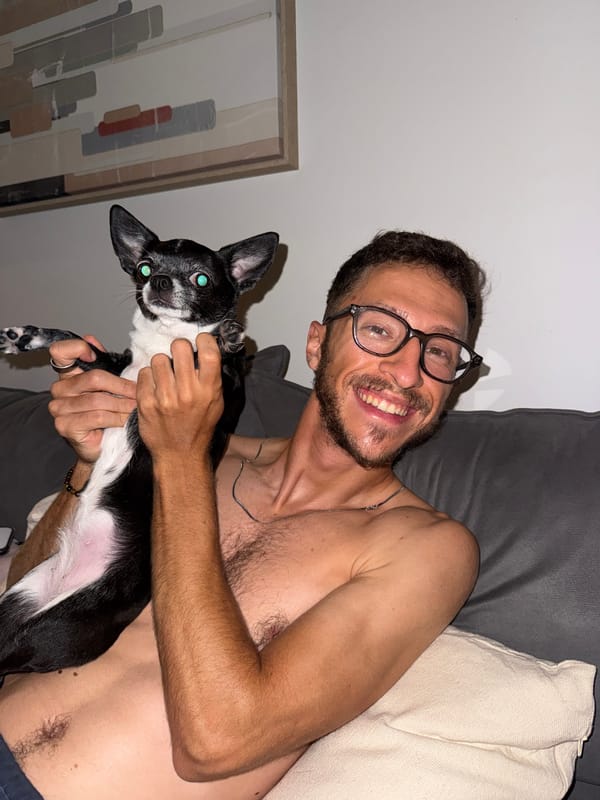 Couch time with chihuahua in Jordan living room