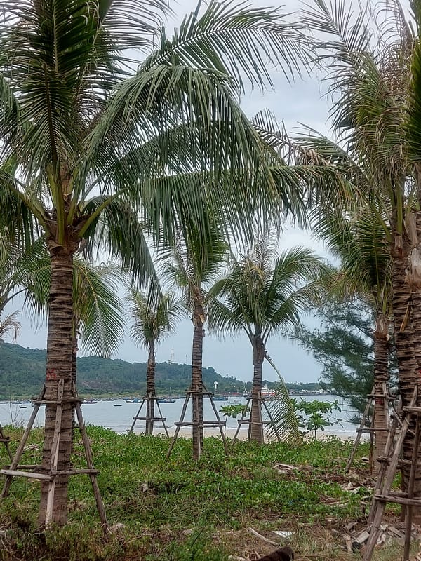 Đà Nẵng beaches and Buddhist temple complex, cloudy morning