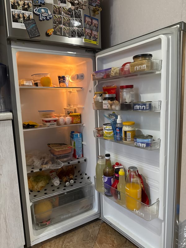 Open refrigerator interior, warm light, Tbilisi