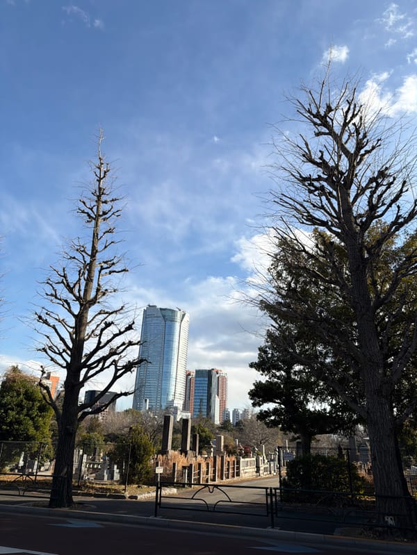 Tokyo shrine area captured amid winter morning urban landscape