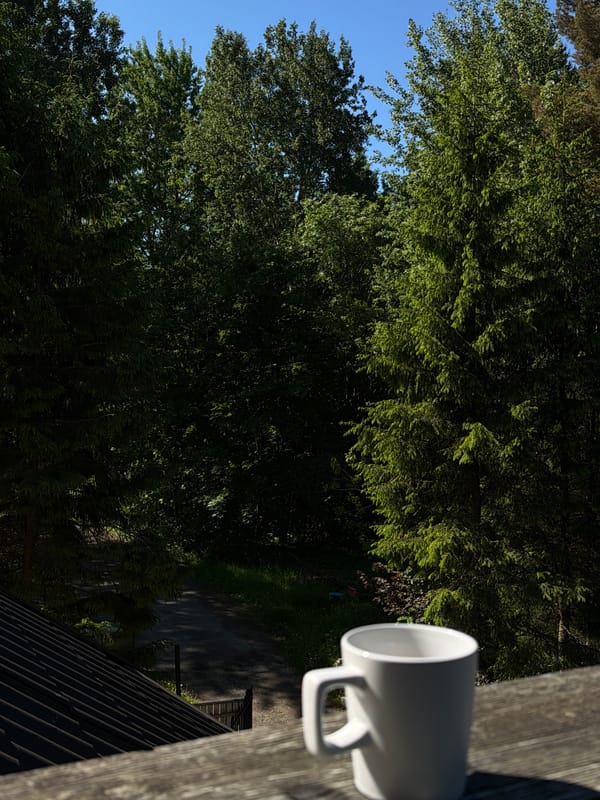 Morning moments with cat and coffee in Tallinn