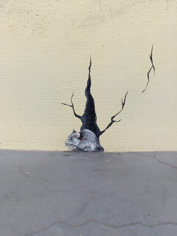 Street art and industrial activity documented in Haskovo