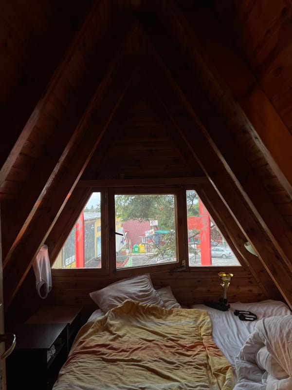 Visitor documents forest cabin retreat experience in Samokov Bulgaria