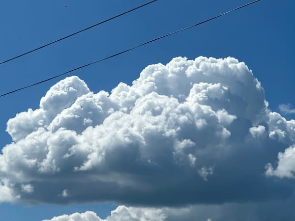 Birds and clouds over Pisochyn on a summer morning