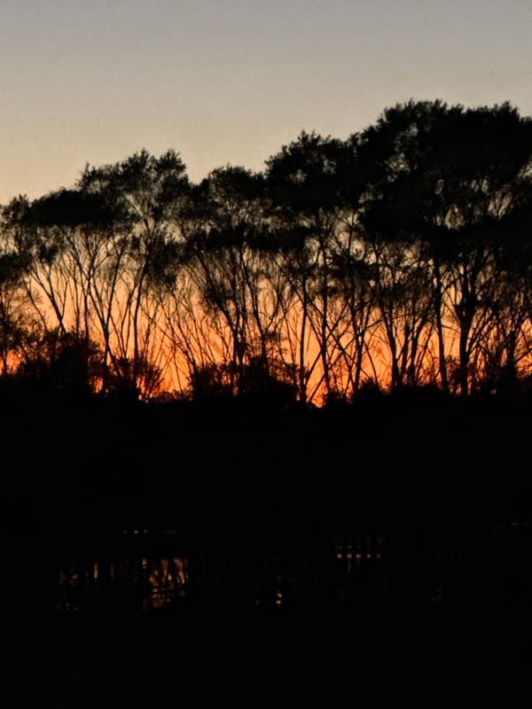 Sunset silhouettes over water, same scene multiple angles