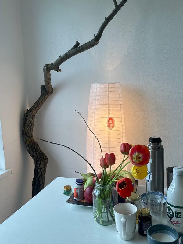 Still life arrangement documented with Japanese lantern and branch