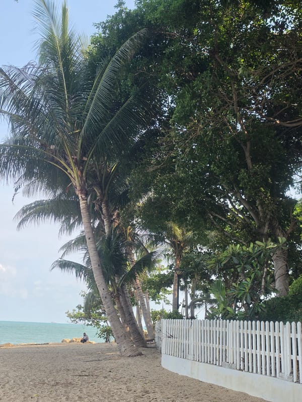 Early Morning Coastal Documentation Tour Through Pattaya City
