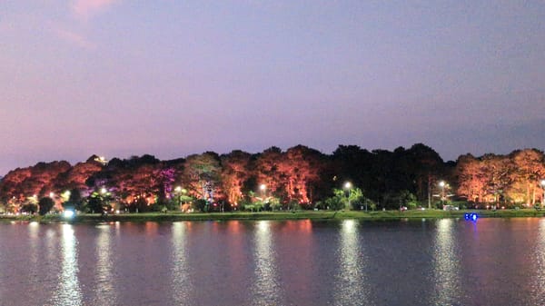 Spring blooms and lakeside views captured in Da Lat