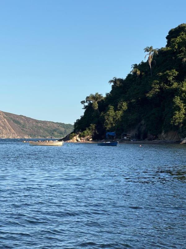 Niterói coastline: hills, water, and the MAC