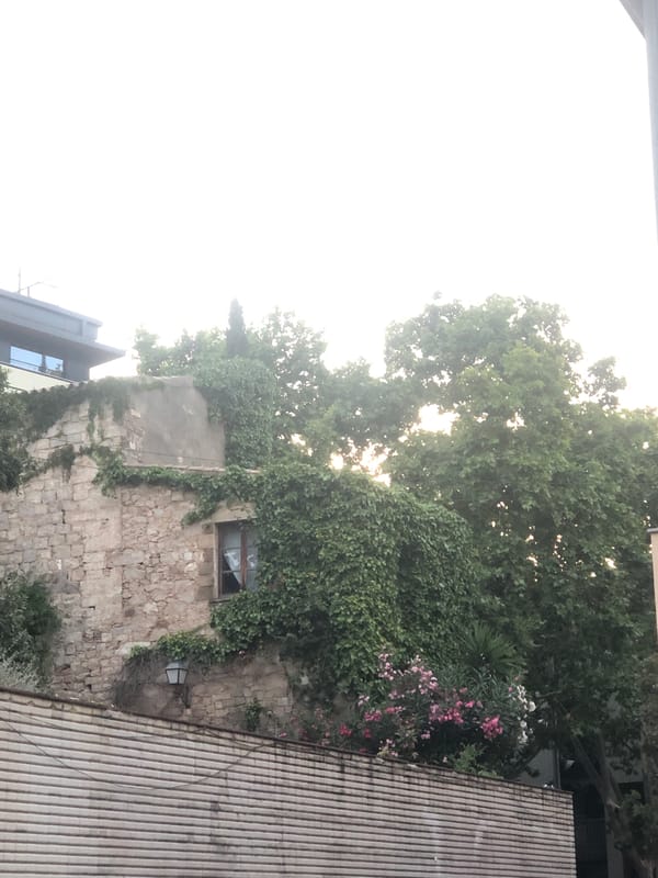 Wandering through an old city neighborhood's streets and facades