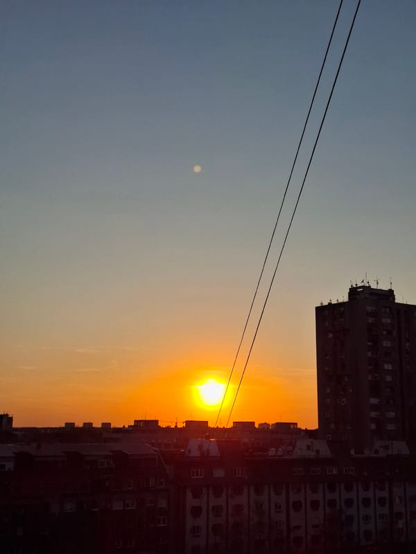 Novi Sad resident captures sunset cityscape, tabby cat moments