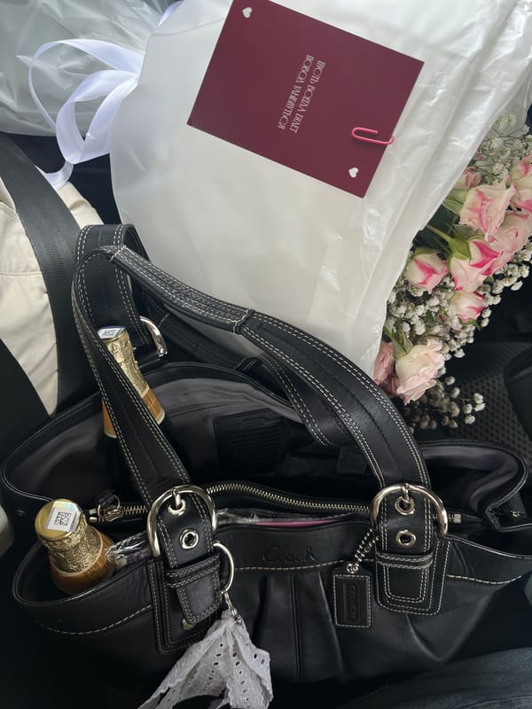 Coach bag and rose bouquet spotted in vehicle, Hrodna