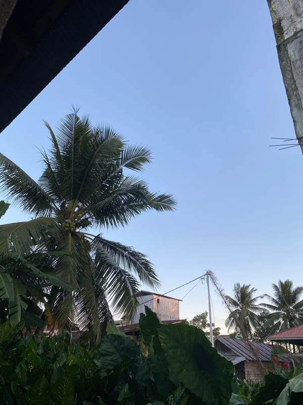 Lush coconut palms and tropical foliage in Kuala Pembuang