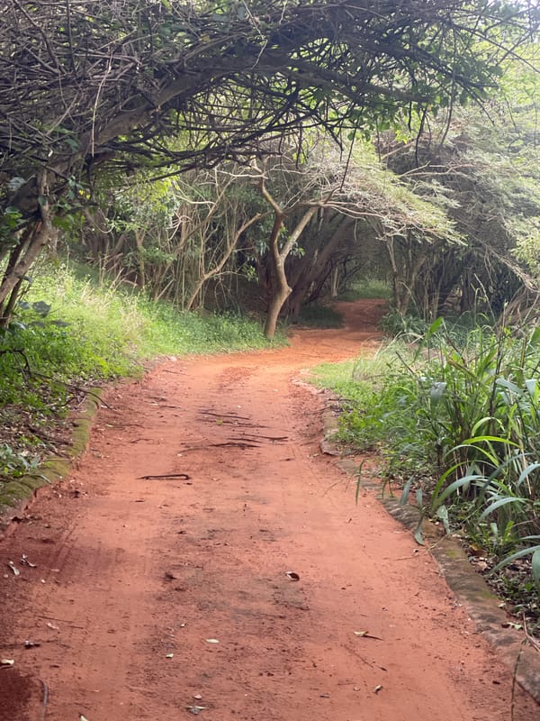 Witness documents nature paths and rural landscapes in Umhlanga