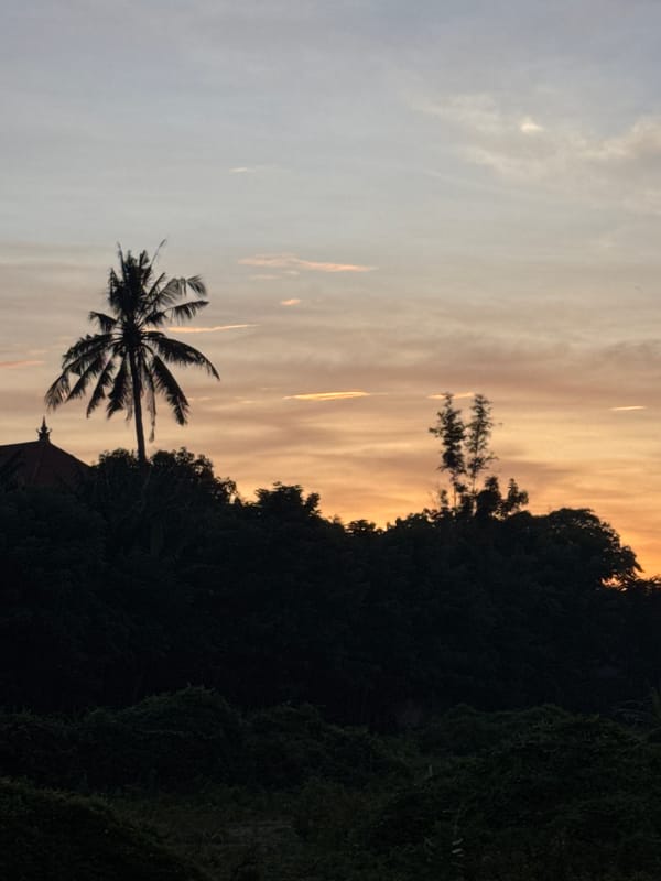 Evening scenes from Kuta: pools, wildlife, and local life