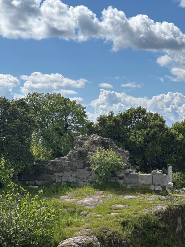 Ancient ruins documented amid vegetation in Bodrum, Turkey