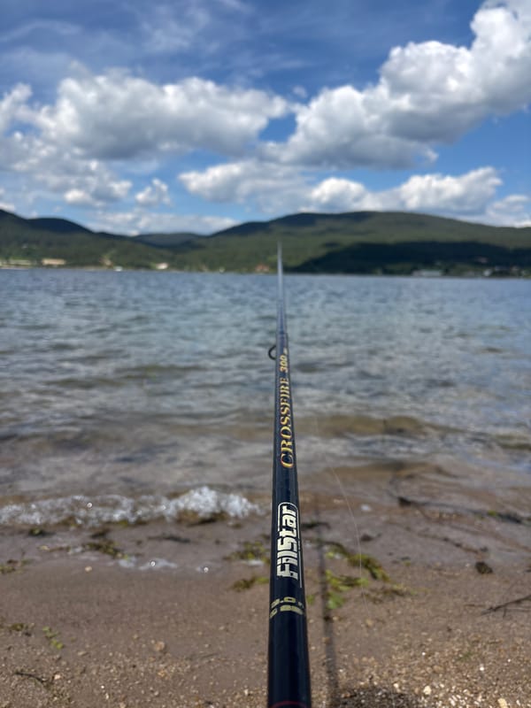 Lake fishing session with mountain backdrop and low phone battery