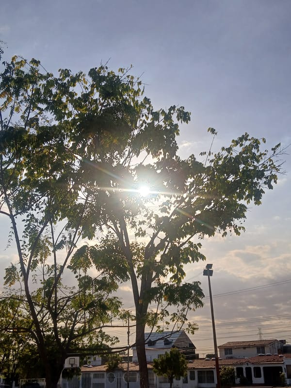 Sunlit urban scene captured in Ciudad Guayana, Venezuela