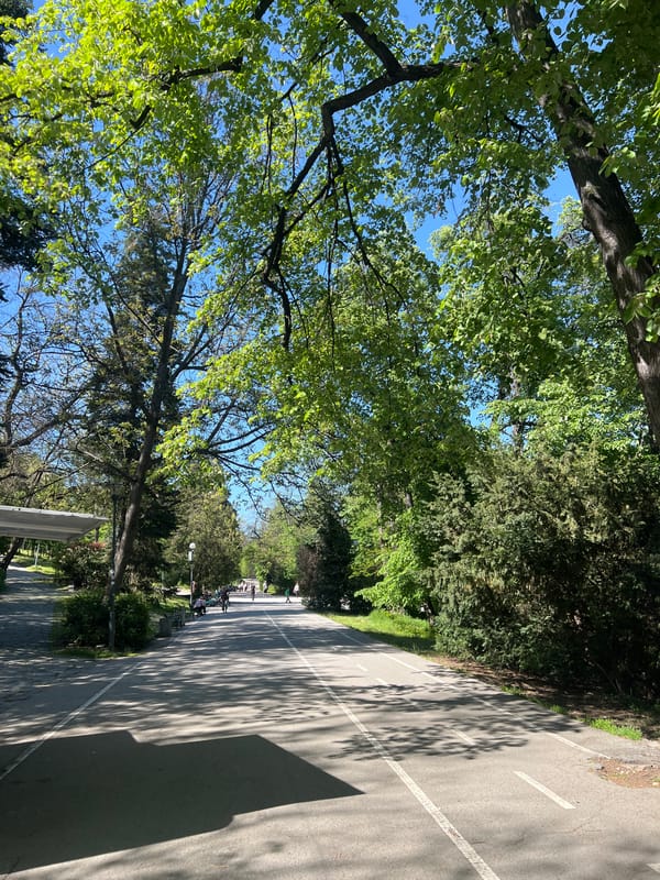 Witness documents peaceful park scenes in Plovdiv, Bulgaria