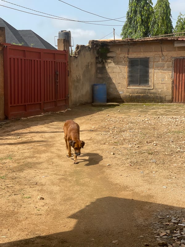 Everyday life around a Kakau, Nigeria home compound