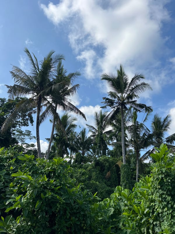 Daily life documented across Peliatan and Ubud, Indonesia