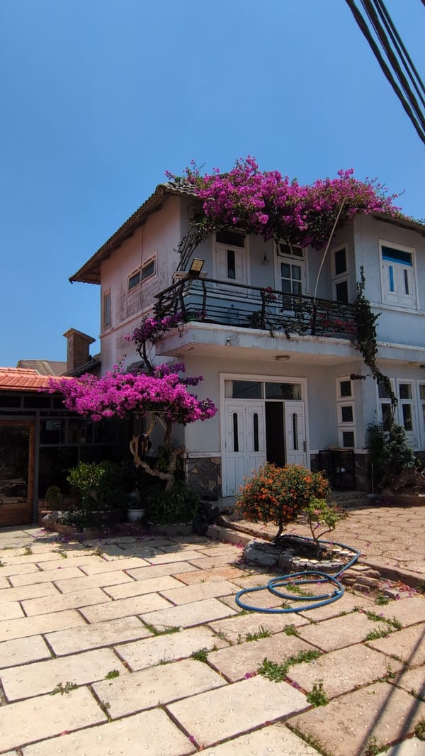 Purple flowers and wind turbine captured in Trường Thọ
