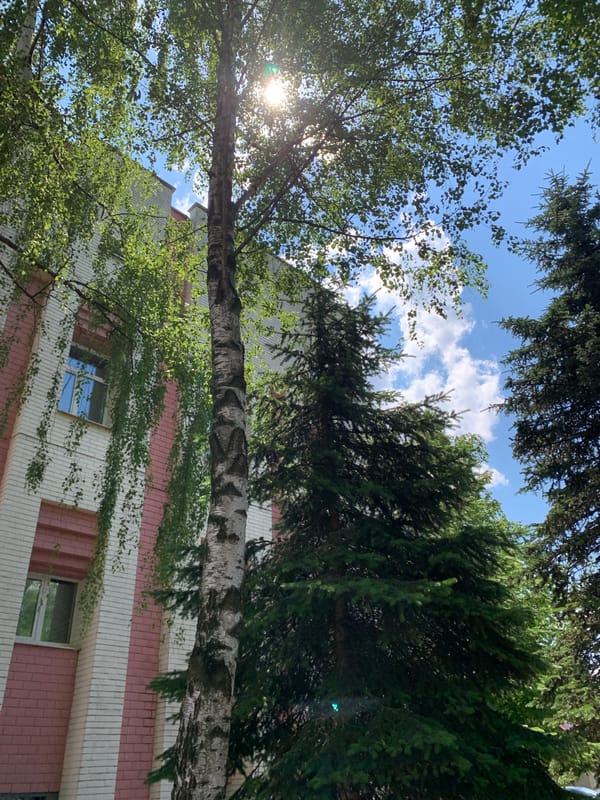 Morning walk through Minsk parks and streets documented