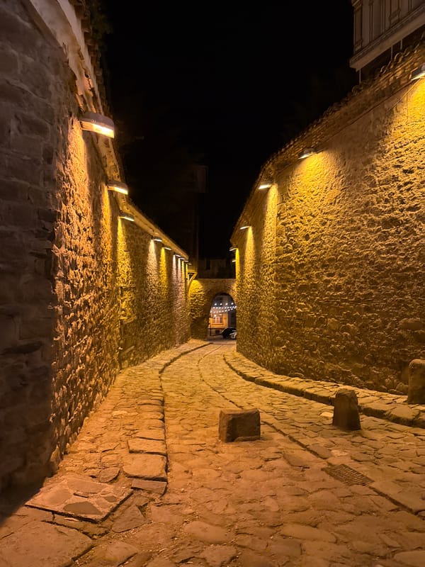 Evening exploration of Plovdiv's Old Town and hilltop ruins