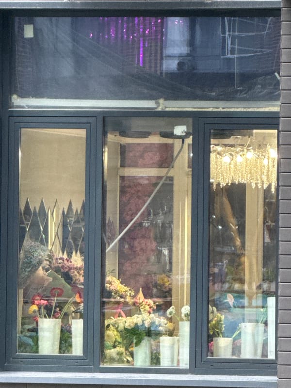 Morning walk documented across Lyubertsy, Russia neighborhoods