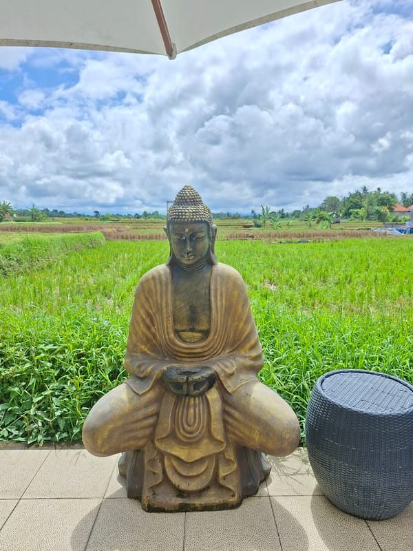 Peaceful morning scene documented in Ubud District, Indonesia