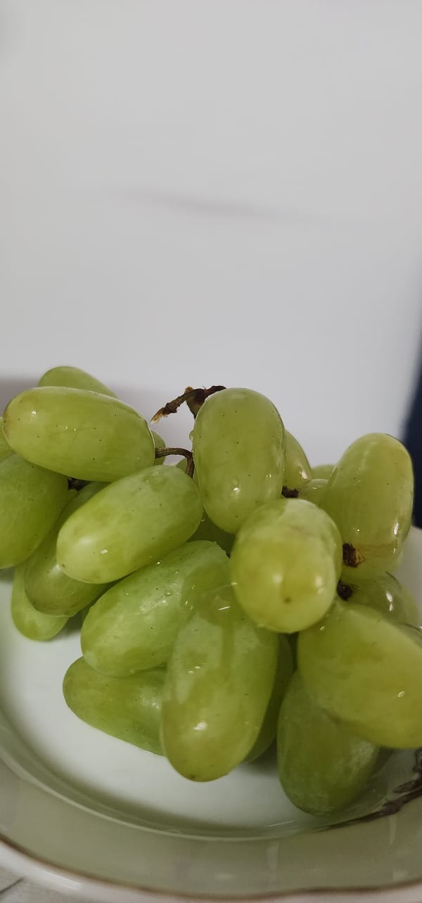 Fresh grapes and a blue flower, close up in Sderot