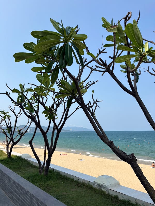 Morning scenes captured in Nha Trang's coastal areas and public spaces