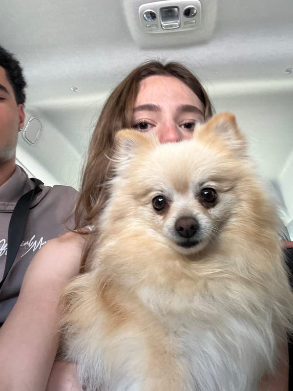 Woman poses with Pomeranian dog in Mexican town