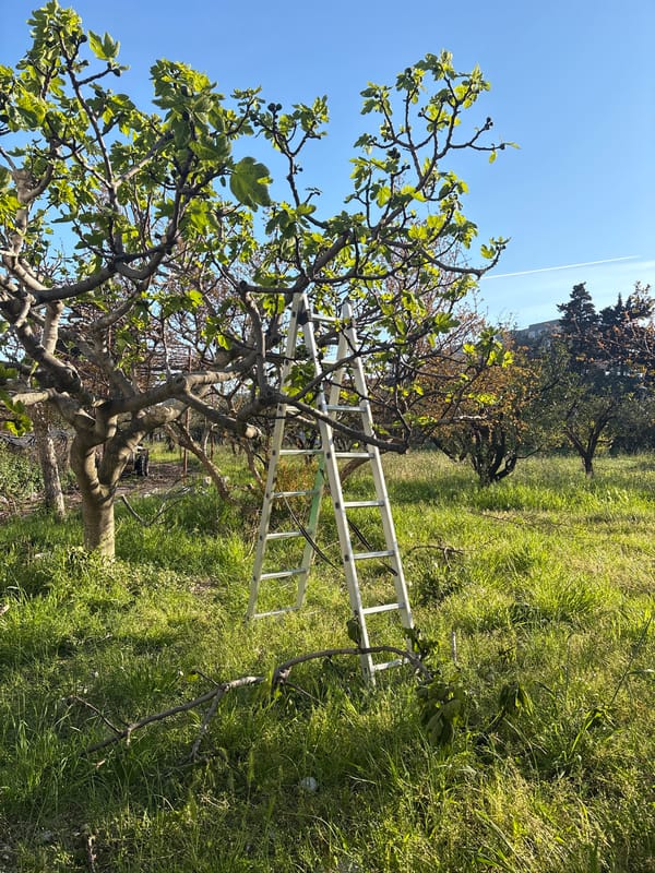 Everyday moments captured across Bar, Montenegro neighborhoods