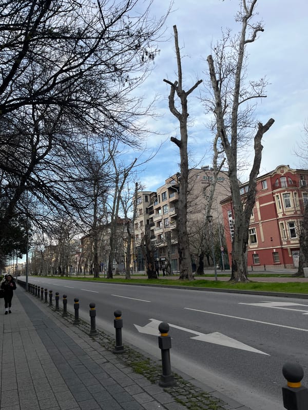 Spring scenes documented in Plovdiv parks and streets