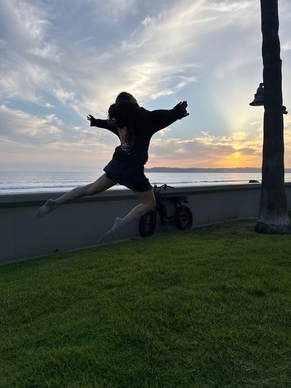 Person jumps on Coronado beach during late night hours