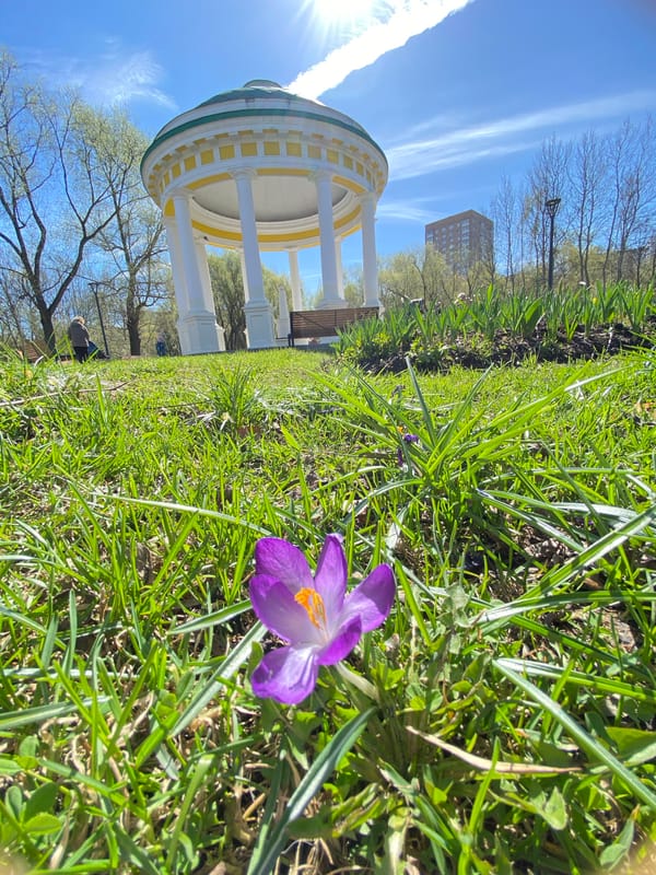 Spring morning scenes captured in Moscow park