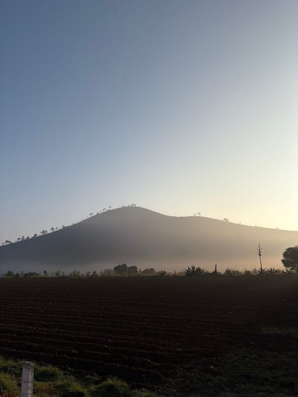 Rural landscapes documented in San Andrés Payuca, Mexico