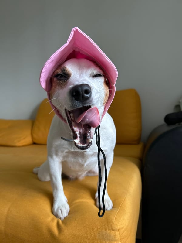 Morning breakfast routine documented in Russian household