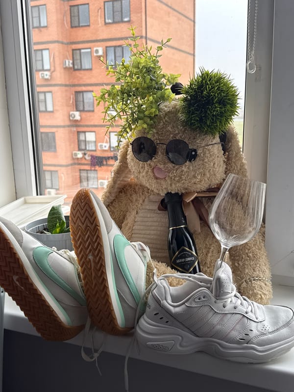 Urban apartment dweller documents sneaker planters and plush bunny displays