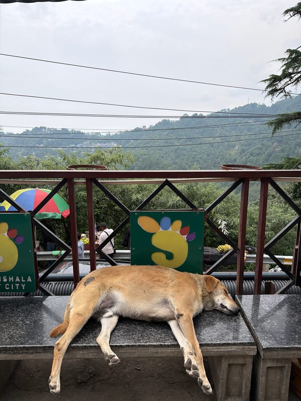 Morning ride through Bhagsu and Dharamkot hill streets