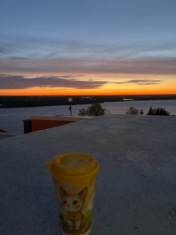 Scenic cup photograph captured against colorful sky in Bor, Russia