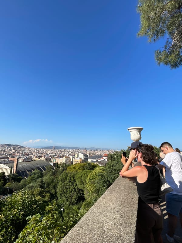 Barcelona overlook draws tourists and street performer on sunny afternoon