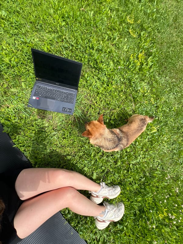 Backyard yoga session with butterfly visitor in Ilavche