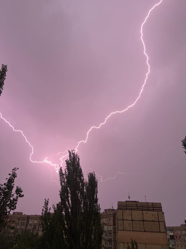 Lightning storm flashes over city apartments and tree silhouettes