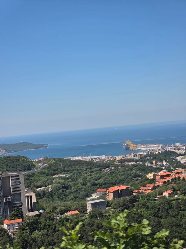 Coastal view of Trieste peninsula documented from hillside