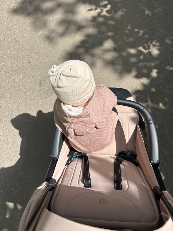 Sunny morning walk with a stroller through a Shevlyagino park