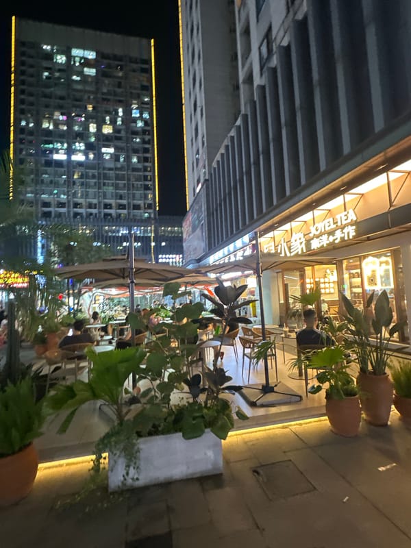 Chongqing High-tech Zone pedestrian district buzzes on a summer evening