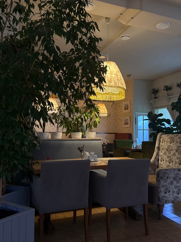 Inside a cozy Abinsk café on a July evening